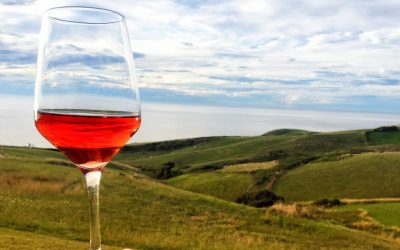 Aún queda verano, un Rosé por favor…